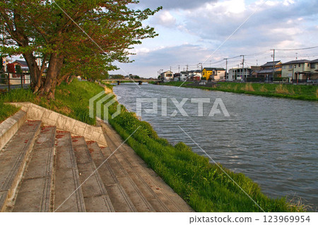 Evening view of the Oochi Furutone River [Sugito Town, Saitama Prefecture] 123969954