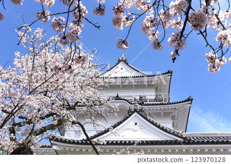 Castle cherry blossom 123970128