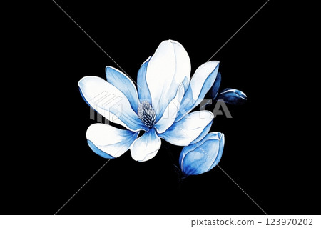 Beautiful Blue Magnolia Flower Illustration on Black Background 123970202