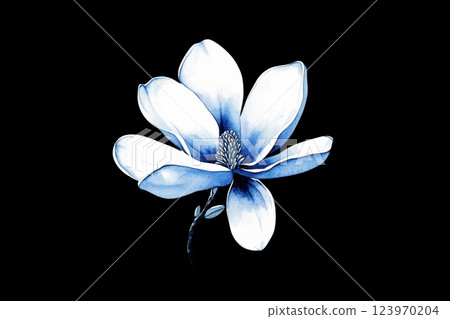 Elegant White Magnolia Flower on Black Background with Artistic Touch 123970204