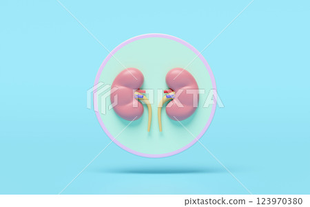 3d kidney human realistic icon isolated on blue background. 3d illustration render 123970380