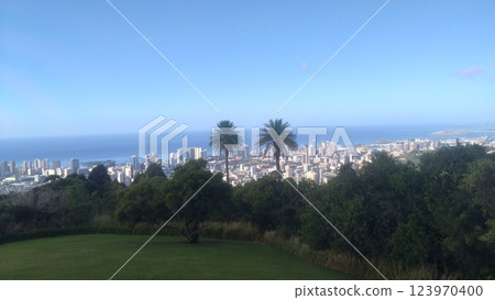 View of Honolulu cityscape from Tantalus Hill 123970400