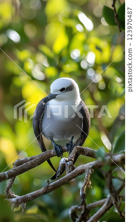 An Exceptionally Captivating Bird Comfortably Perched Amongst the Lush Green Foliage An Exceptionally Captivating Bird Comfortably Perched Amongst the Lush Green Foliage 123970487