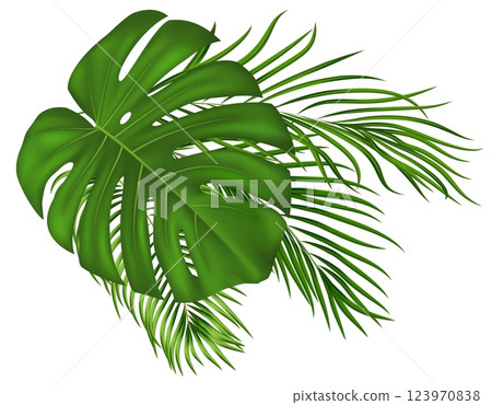 Lush tropical greenery elements. For invitations, posters, social media content with summer and travel theme. Vector illustration Lush tropical greenery elements. For invitations, posters, social media content with summer and travel theme. Vector illustration 123970838