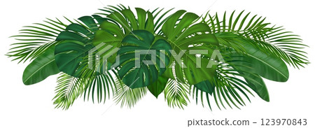 Lush tropical palm leaves composition for summer graphics, social media and eco friendly designs. Vector illustration. 123970843
