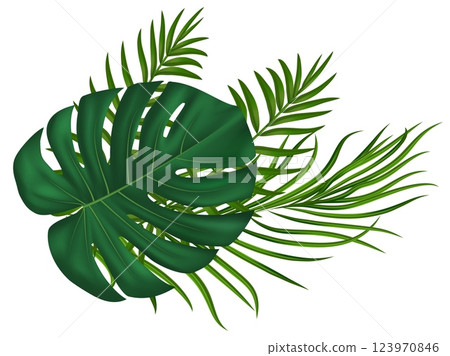 Summer tropical green palm leaves. For eco designs, party decor, summer marketing materials. Vector illustration 123970846