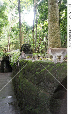 Fragment of bas-relief featuring monkeys on Padangtegal Great Temple of Death (Pura Dalem Agung Padangtegal) in the Sacred Monkey Forest of Padangtegal, Ubud, Bali, Indonesia Fragment of bas-relief featuring monkeys on Padangtegal Great Temple of Death (Pura Dalem Agung Padangtegal) in the Sacred Monkey Forest of Padangtegal, Ubud, Bali, Indonesia 123970971