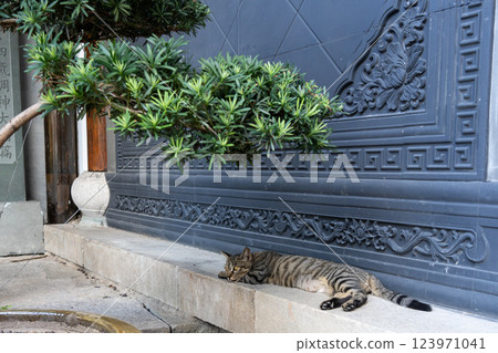 Tabby cat sleeping in front of a traditional building in Hangzhou Tabby cat sleeping in front of a traditional building in Hangzhou 123971041