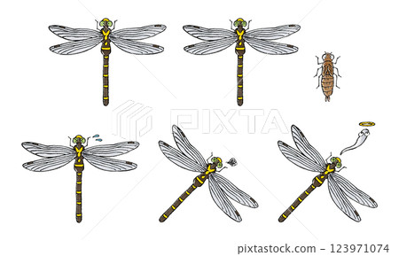 Oni-dorina set Oni-dorina set 123971074