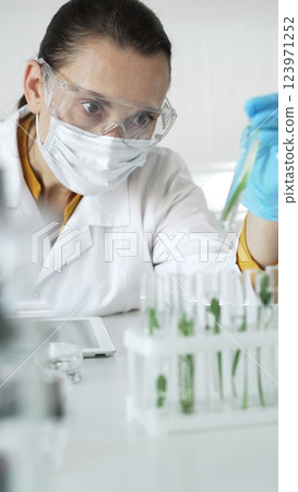 Woman scientist wearing a lab coat, blue gloves, face mask and protective glasses, is holding a test tube with plants inside, vertical portrait view. Science and medicine concept Woman scientist wearing a lab coat, blue gloves, face mask and protective glasses, is holding a test tube with plants inside, vertical portrait view. Science and medicine concept 123971252