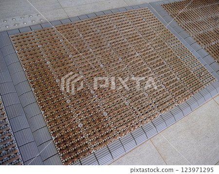 doormat 123971295