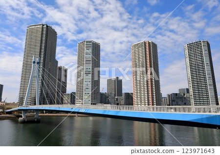 東雲塔公寓和辰巳櫻橋（東京都江東區） 123971643