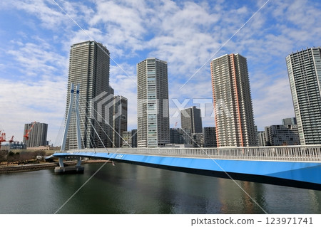 Shinonome tower apartment and Tatsumi Sakurabashi Bridge (Koto Ward, Tokyo) Shinonome tower apartment and Tatsumi Sakurabashi Bridge (Koto Ward, Tokyo) 123971741