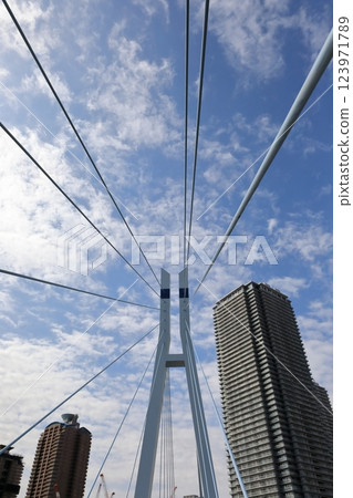 東雲塔公寓和辰巳櫻橋(東京都江東區) 東雲塔公寓和辰巳櫻橋(東京都江東區) 123971789