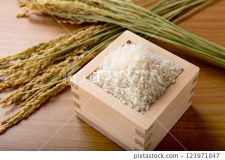 飯碗裡的米飯和米穗 飯碗裡的米飯和米穗 123971847