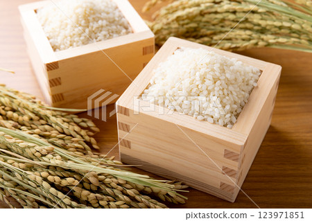Rice and ears of rice in a masu 123971851