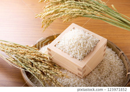 Rice and ears of rice in a masu 123971852