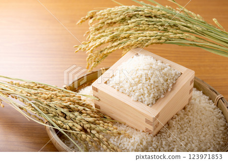 Rice and ears of rice in a masu 123971853