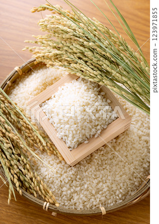 飯碗裡的米飯和米穗 飯碗裡的米飯和米穗 123971855