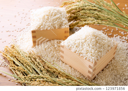 Rice and ears of rice in a masu 123971856