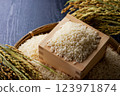 進入海灣的大米 123971874