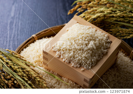 Rice that entered the bay 123971874