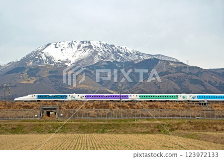 A Disney-decorated Shinkansen train running through the countryside at the foot of snow-capped Mt. Ibuki A Disney-decorated Shinkansen train running through the countryside at the foot of snow-capped Mt. Ibuki 123972133
