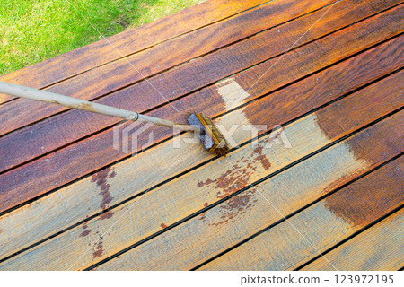 Close-up of a wooden deck being stained with a brush for protection and maintenance 123972195