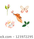 Watercolor Illustration cute fox and spring flowers and butterflies 123972295