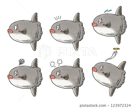 翻車魚集 123972324