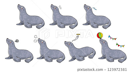 Sealion set 123972381