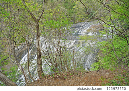 The upstream view of Fukuroda Falls 123972550