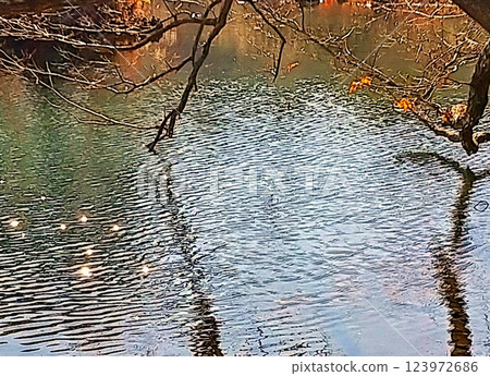 Cold early spring scenery of Lake Ippeki 123972686