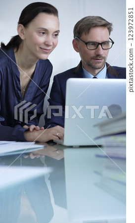 Two professionals collaborating in a modern office setting, using a laptop and discussing a project, vertical portrait. Business people concept 123972851