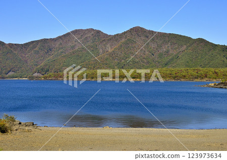 Panoramic view of autumn leaves and Mount Eboshi from Lake Motosu in Yamanashi Prefecture 123973634