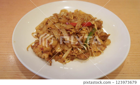 Authentic Asian Stir Fried Flat Noodles with Vibrant Vegetables on White Plate Authentic Asian Stir Fried Flat Noodles with Vibrant Vegetables on White Plate 123973679