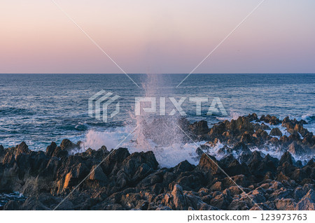 Early morning at the salt-blown rocks of Iwaizaki, Kesennuma 123973763