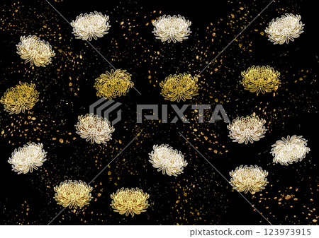 Black and Chrysanthemum Black and Chrysanthemum 123973915