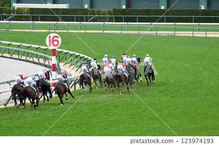 Chukyo Racecourse in Spring 123974193
