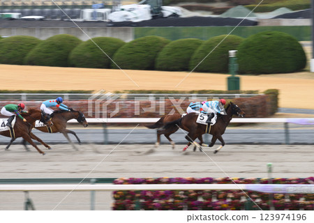 Chukyo Racecourse in Spring 123974196