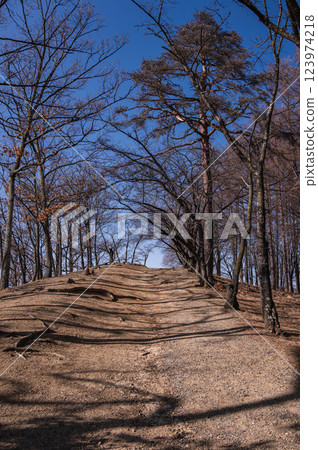 Touring Historic Sites: Koboyama Kofun in Winter Touring Historic Sites: Koboyama Kofun in Winter 123974218