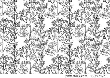 Line art botanical seamless floral pattern with wildflowers vector illustration.Black and white outline repeating plant in white background. Graphic design for Fashion Cover Textile Coloring Page Card 123974249