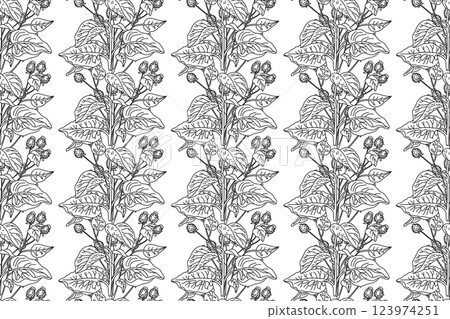 Line art botanical seamless floral pattern with wildflowers vector illustration.Black and white outline repeating plant in white background. Graphic design for Fashion Cover Textile Coloring Page Card 123974251