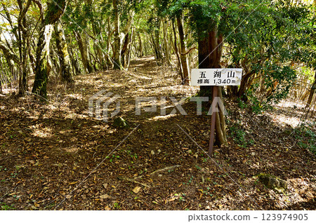 通往禦坂山脈五甲山頂的靜謐小路 通往禦坂山脈五甲山頂的靜謐小路 123974905