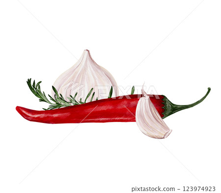 Red hot pepper with garlic and rosemary. Spices and seasonings for food. Watercolor illustration isolated from background. Template for menu and recipe. High quality illustration Red hot pepper with garlic and rosemary. Spices and seasonings for food. Watercolor illustration isolated from background. Template for menu and recipe. High quality illustration 123974923