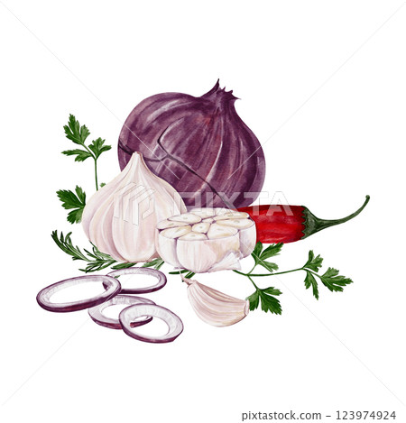 Red onion with garlic and hot pepper. Spices for food. sliced rings and half garlic with cilantro and parsley. Watercolor illustration isolated from background. High quality illustration Red onion with garlic and hot pepper. Spices for food. sliced rings and half garlic with cilantro and parsley. Watercolor illustration isolated from background. High quality illustration 123974924