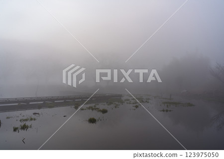Morning mist at Itsukushima Wetland Park Morning mist at Itsukushima Wetland Park 123975050