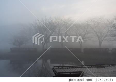 嚴島濕地公園的晨霧 嚴島濕地公園的晨霧 123975054