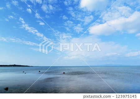 近海,紅樹林附近 近海,紅樹林附近 123975145