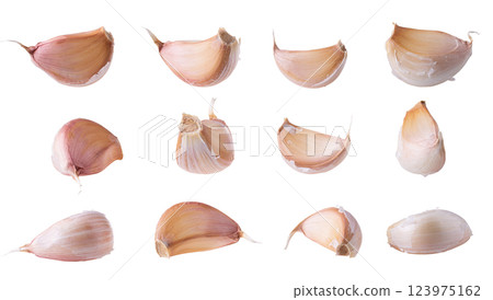 Close up raw garlic isolated on a white background Close up raw garlic isolated on a white background 123975162